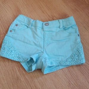 CRAZY 8 Shorts